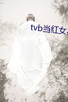 tvb当红女星