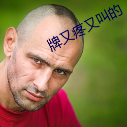 牌又疼又(又)叫的
