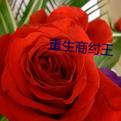 重生商纣王