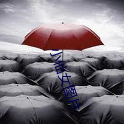小仙女图(圖)片(片)