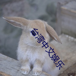 台湾中文(文)娱(娛)乐