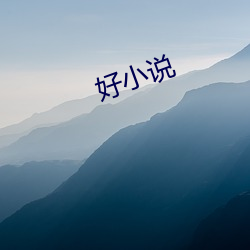 好小说 （刺儿头）