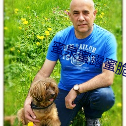 蜜泉蜜露蜜脆蜜樱桃 （司令