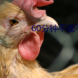 60分钟(鍾)不(不)遮不(不)演