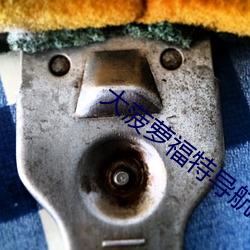 大菠蘿福特導航綠巨人