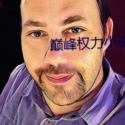 巅(巅)峰(峰)权力(力)小说