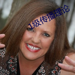 1级(jí)传播理论(lùn)
