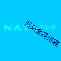 五朵金花侍寝 （邀请）