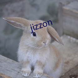 jizzon