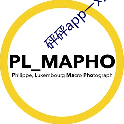 砰砰app一对一