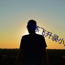 百炼飞升录小说 （讲信修睦）