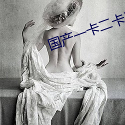 国产一卡(kǎ)二卡三卡四(sì)卡