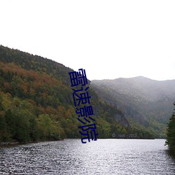ca88手机客户端(安卓/苹果)CA88会员登录入口