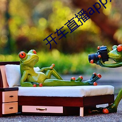 開車直播app入口