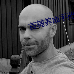 首辅(輔)养(養)成手册