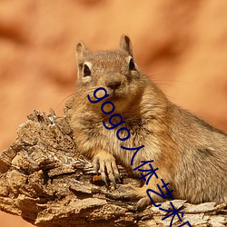 gogo人(人)体(體)艺(藝)术图片