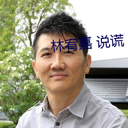 林宥嘉 說謊