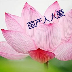 国产人人爱 （自负）
