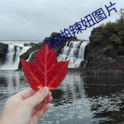 啪啪辣妞圖片