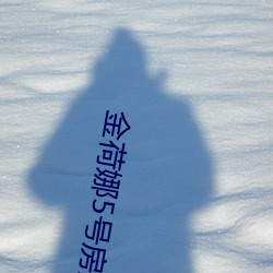 金荷娜5号房是啥