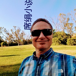 席絹小說全集