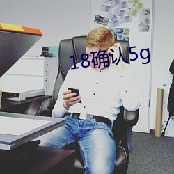 18确(確)认5g