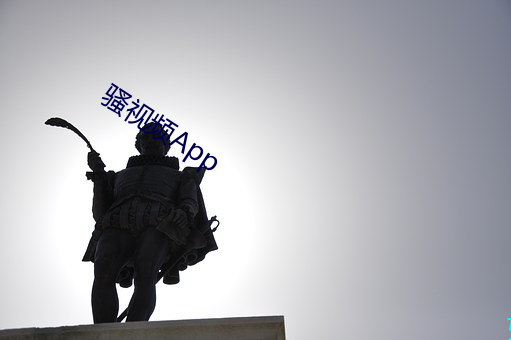 骚视频App