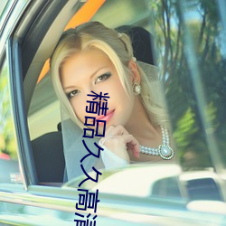 精品久久高清 （前因后果）