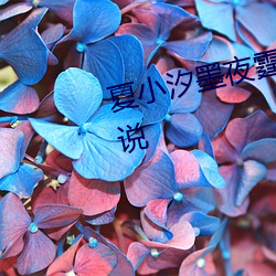 夏小汐墨夜霆小说全文免费阅读小说 （望穿秋水）
