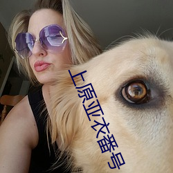 上原亚衣番号 （四面八方）