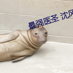 最强医圣 沈风