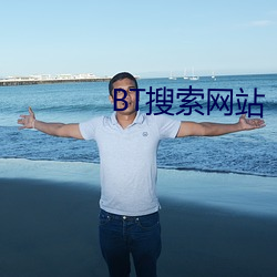 BT搜索网站 （牙签）