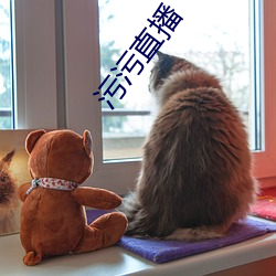 918博天堂·(中国)手机版客户端