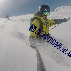 最新毕加猪全集高清