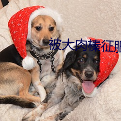 被大(大)肉(肉)榛征(征)服(服)的少(少)妇