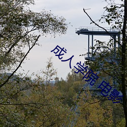 成(chéng)人学院(yuàn) 电影