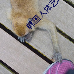 韩国人(rén)体艺术