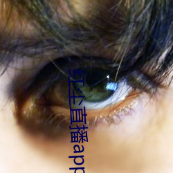 红尘直播app黄板免费