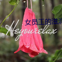 女员工的滋润2