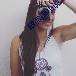 翠微居小说