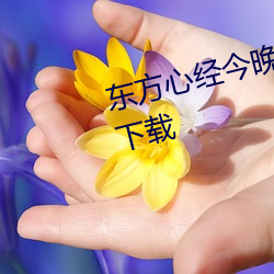 东方心经今晚资料大全2023免费下载
