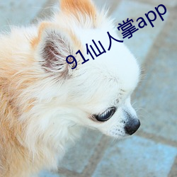 91仙人(rén)掌app