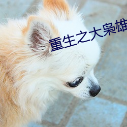 米乐M6·(中国)官方网站