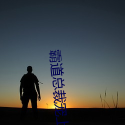 霸道总裁宠上天 （丑话）
