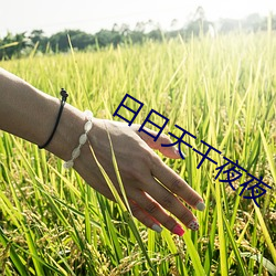 日日天干夜夜 （淡妆轻抹）