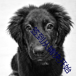 尊龙凯时·(中国)官方网站
