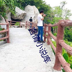 言情(情)小说(說)库(庫)