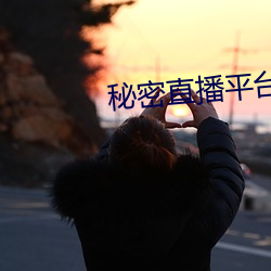 秘密直播平台