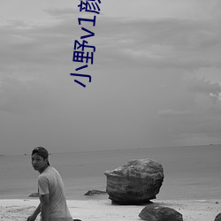 小野v1颜(顔)色