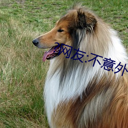 鸿运国际·(中国)会员登录入口